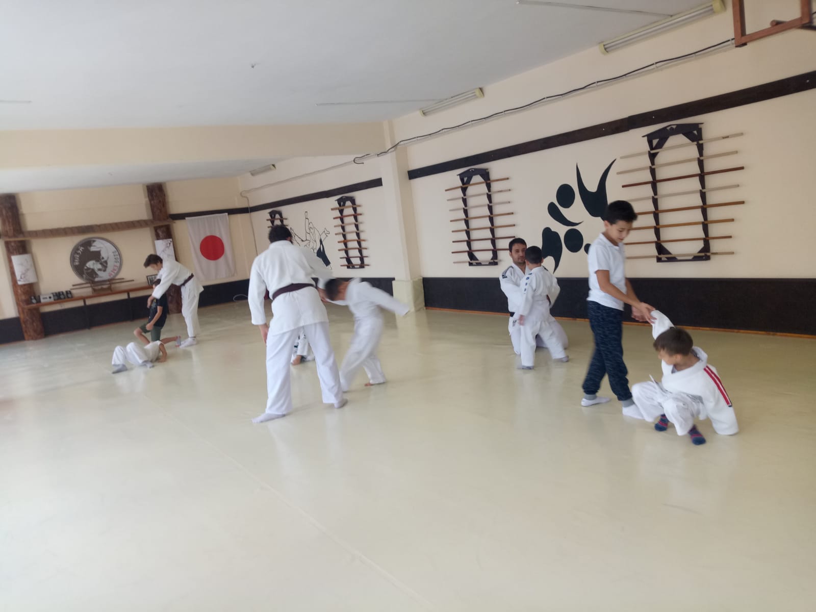Bursa Çocuklar İçin Aikido Eğitimleri