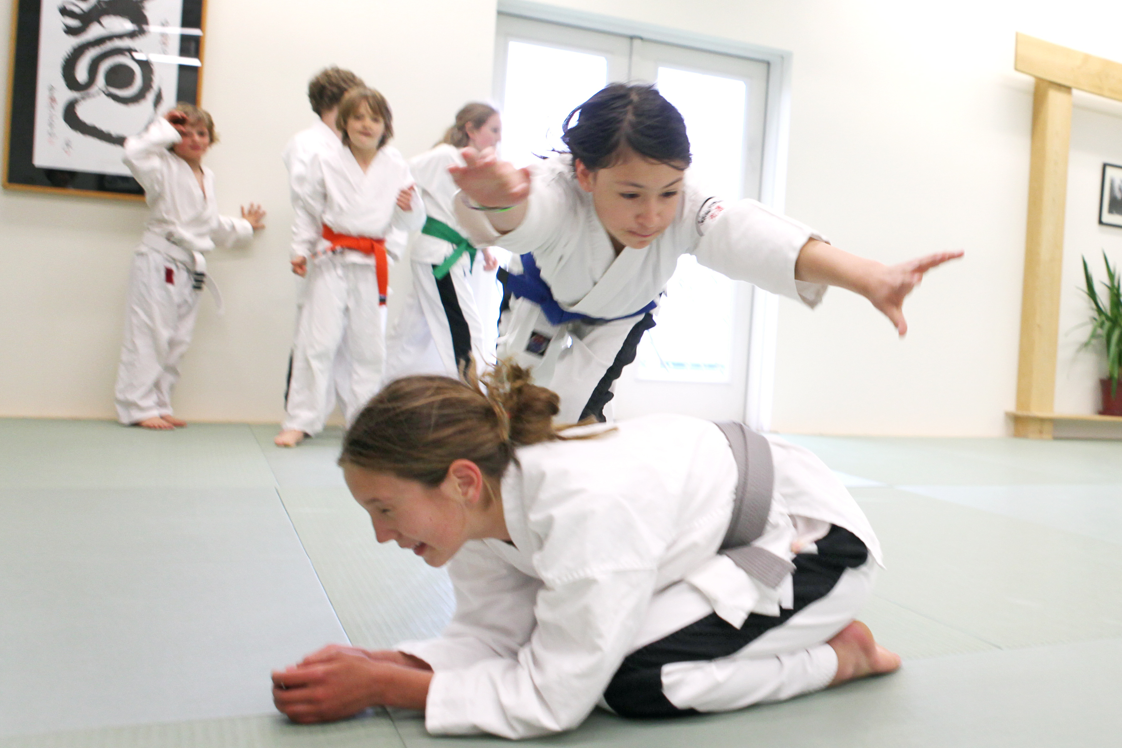 Çocuğunuz için mükemmel dövüş sanatı Aikido