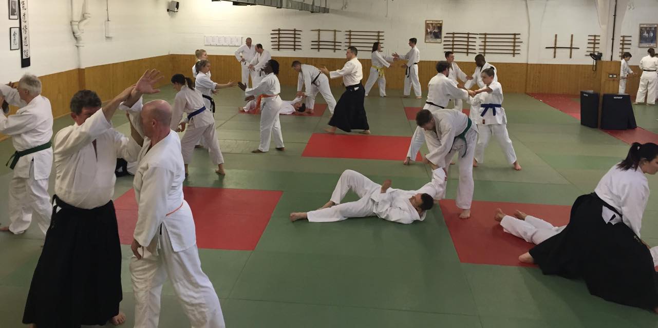 Yetişkinler için Aikido | Yetişkin Aikido | Yetişkinlere Aikido Kursu | Yetişkinler için Aikido Programları ( 18-35 Yetişkin Aikido programı